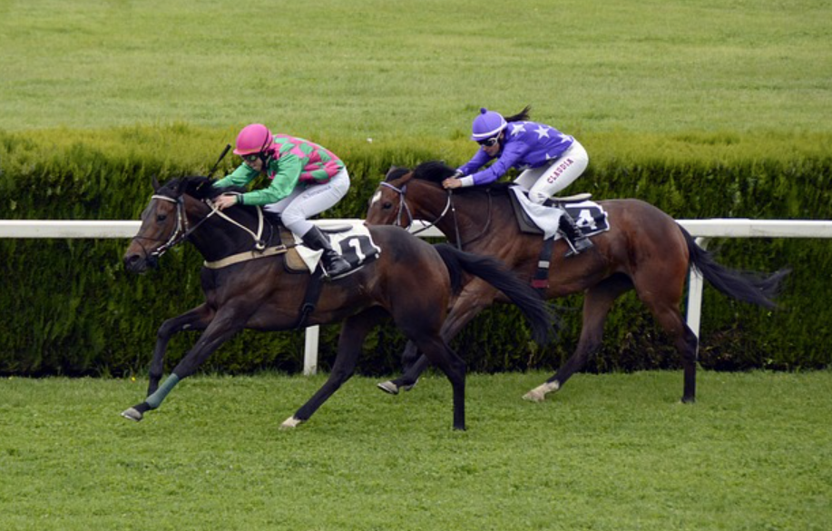 Radarturf || radarturf trio